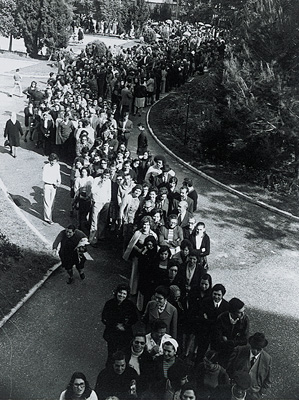 Curiosidade do mês: 